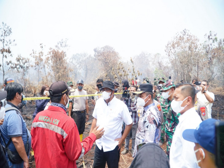 Dampingi Menteri LH Tinjau Kebakaran di Tambang, Ini Penjelasan Bupati Kampar