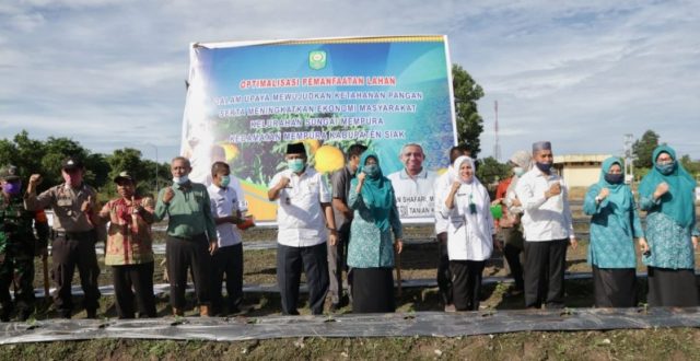 Hadapi Pandemi Covid-19, Bupati Alfedri: Ketahanan Pangan harus Ditingkatkan