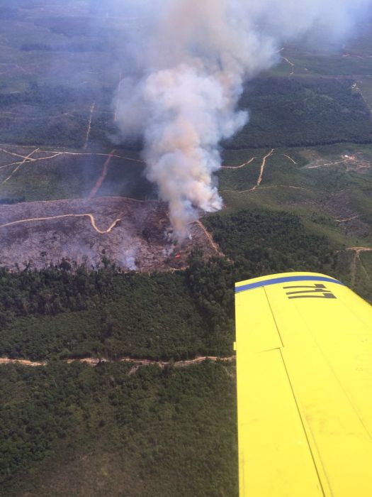 Terbakar Lagi, BNPB Lakukan Water Bombing di Merbau