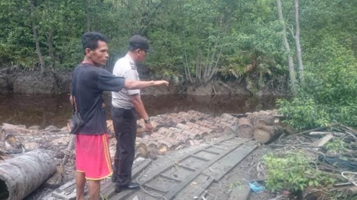 NGERI...Kawanan Buaya Kembali Mengganas di Sungai Bangsal Sagu Desa Sungai Tohor, 2 Orang Jadi Korban