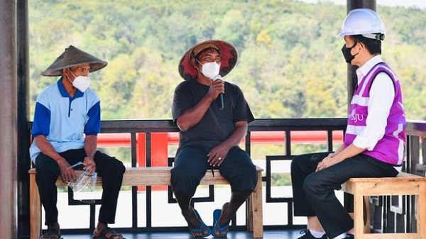 Jokowi Kaget Bukan Main dengar Ada Petani Panen 14 Ton Per Hektare, Dia Tanam Ini...