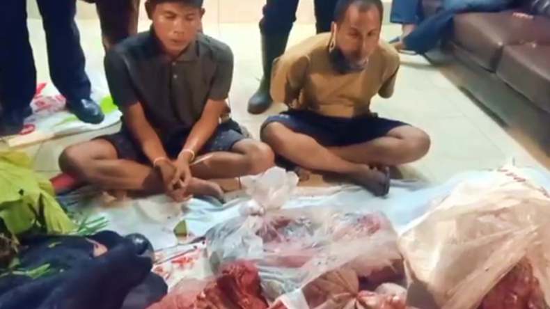 Lagi Asyik Potong Daging Hasil Curian di Hutan, 2 Pria Bersaudara Ini Ditangkap Polisi