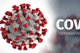 Corona Menurun di Indonesia, Ini Daerah yang Masih Zona Merah