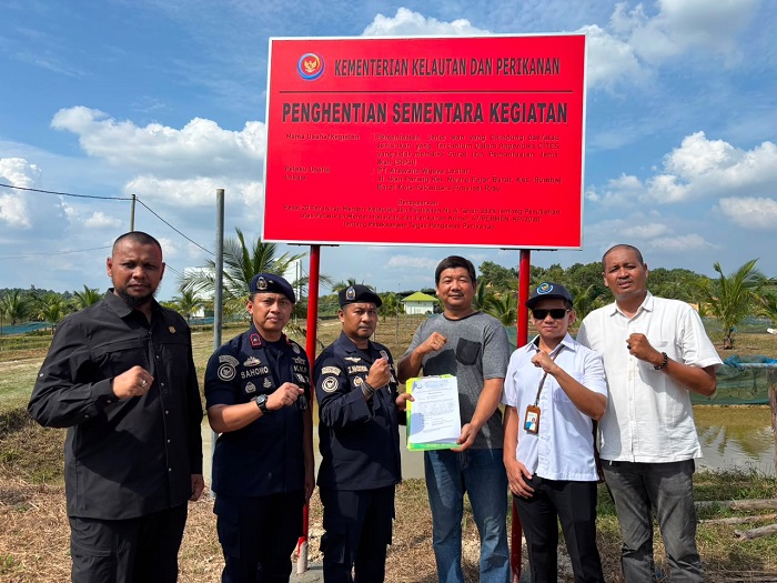 Kementerian Kelautan Perikanan SegelAktivitas Budidaya Arwana Tak Berizin di Pekanbaru