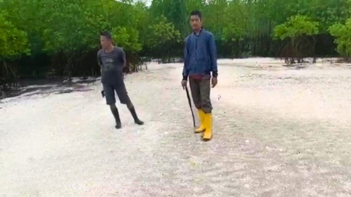 Punya Mangrove dan Pasir Putih  Eksotis,  Pantai Sungai Sirih Sinaboi Segera Digarap