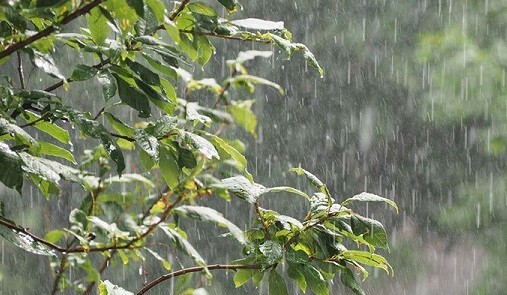 Cegah Karhutla, BPPT akan Lakukan Hujan Buatan dan Modifikasi Cuaca di Riau Awal Maret