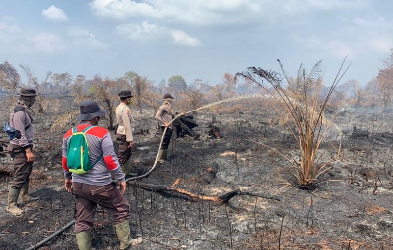 TNI Polri Berhasil Padamkan 10 Hektare Lahan Terbakar di Siak