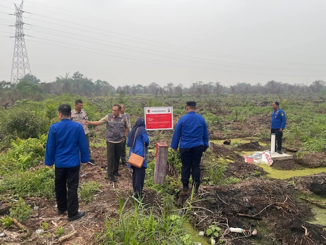 Sisir Lahan Eks Karhutla di Pekanbaru, BPBD Pastikan Tak Ada Lagi Api