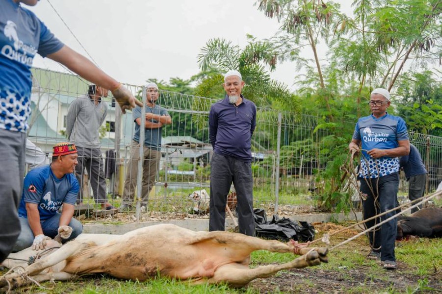 BKMT Kota Dumai Sembelih 7 Sapi dan 1 Kambing