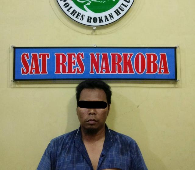 Sat Narkoba Polres Rokan Hulu Gerebek Pelaku Narkoba di Tambusai