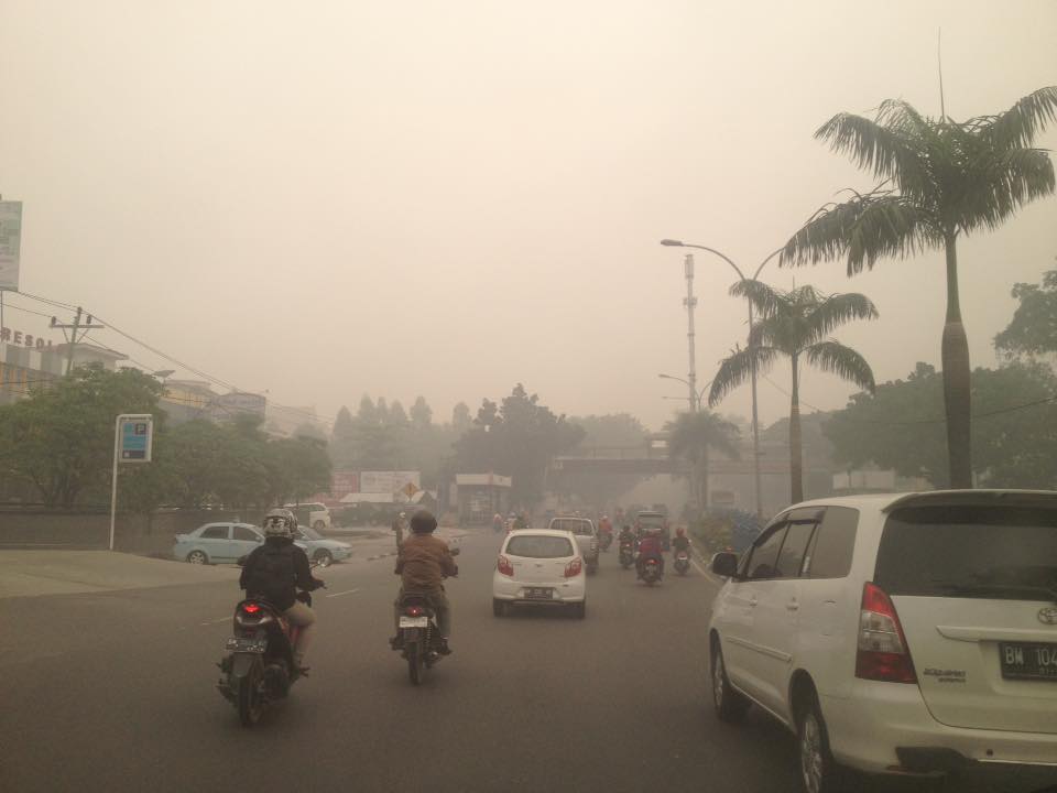 Titik Api Meningkat Tajam, Asap Kembali Mengancam Warga Riau