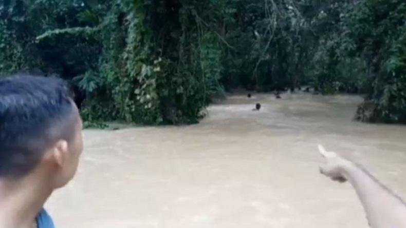 Jatuh dari Gendongan Ibu, Bayi yang Terseret Banjir Ditemukan Meninggal Dunia Tersangkut di Akar Pohon