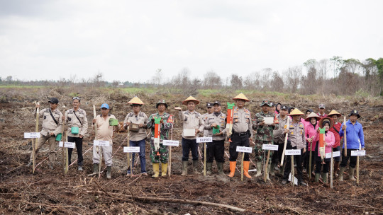 Inhil Dapat Alokasi 53.000 Hektar, Penanaman Perdana Jagung Dimulai di Kuala Sebatu