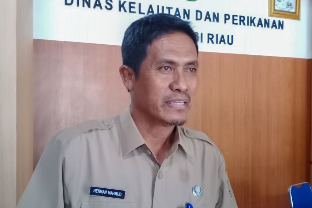 Hingga Maret 2020, Sudah 18.060 Hektar Lahan Pertanian di Riau Ditanam Padi