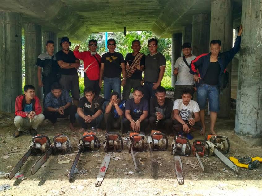 Rambah Hutan Lindung, 7 Pelaku Ilog di Pelalawan Dibekuk