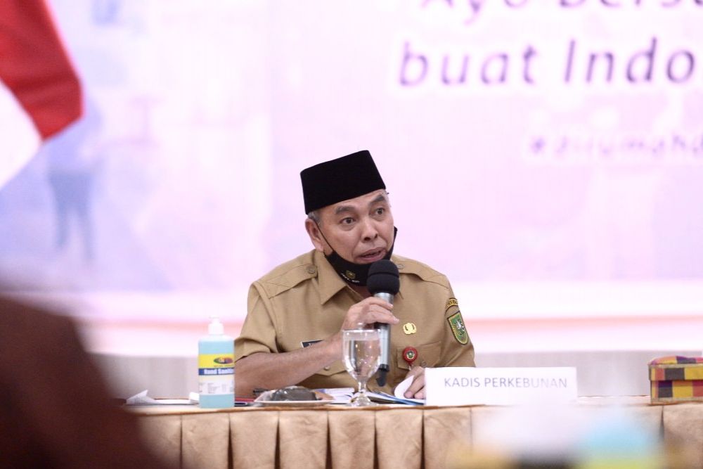 Disbun Riau Minta Petani Sawit Swadaya Bentuk Kelompok