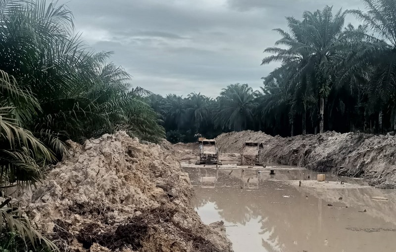 Warga Laporkan  Aktivits PETI di F Trans, Beroperasi di Kebun Sawit