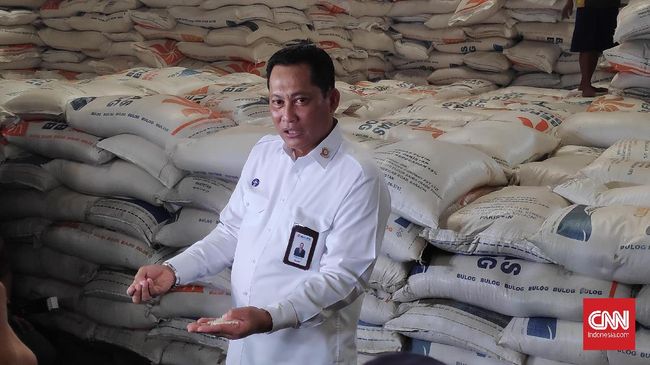 Bulog Bakal Produksi Beras Sendiri, Jamin Tanpa Kutu