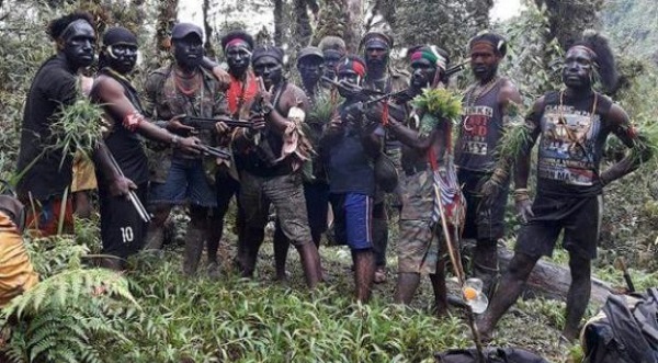 31 Meninggal Dunia, 15 Pekerja Istaka Dilaporkan Masih Belum Kembali dari Mbua-Nduga