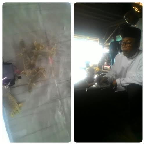 Bupati Suyatno dan Rombongan Kunker ke Sinaboi