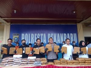 Polresta Pekanbaru Gagalkan Peredaran 73 Kilogram Ganja Kering