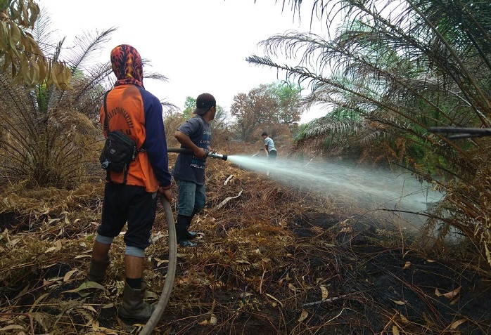 Tim FERT RAPP Bantu Pemadaman Lahan di Pulau Muda, Pelalawan