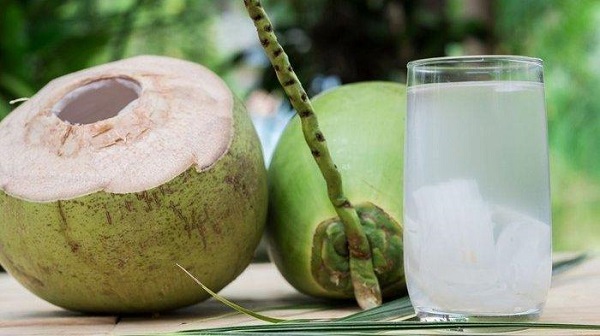 Bukan Cuma Nikmat, Air Kelapa Muda Punya Khasiat Tak Terduga  Bagi Ginjal...