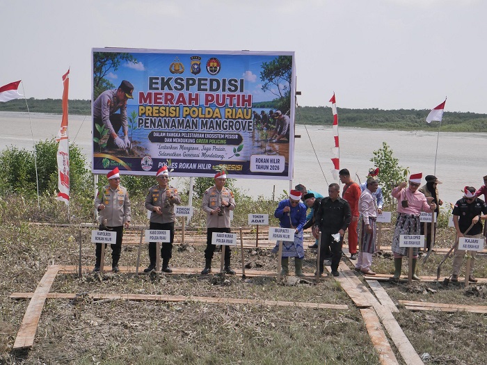 Polda Riau dan Pemkab Rohil Lakukan Penanaman Mangrove di  Pesisir Sinaboi