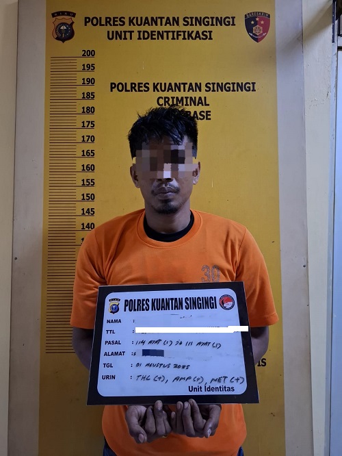 Tim Mata Elang Polres Kuansing Tangkap Pengedar Ganja di Seberang Cengar, Positif Tiga Jenis Narkoba