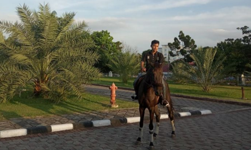 Jelang Berbuka, Yuk Nikmati Wisata Berkuda di Kawasan Masjid Raya An-Nur Pekanbaru