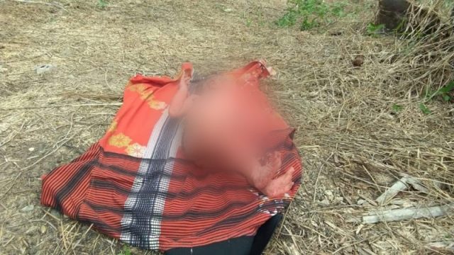 Polisi Masih Memburu Pelaku Pembuangan Bayi di Kebun Sawit di Siak