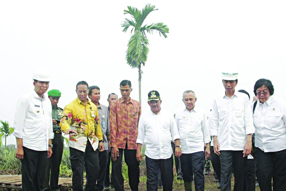 Wali Kota Pekanbaru Dampingi Presiden Tinjau Karhutla