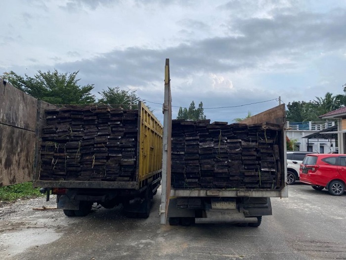 Diduga Bawa Kayu Olahan  Tanpa Dokumen, Dua Sopir dan Truknya Diamankan