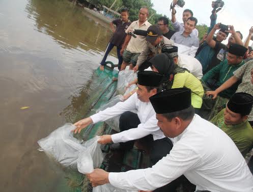 Bupati Syamsuar Tabur Benih Ikan Patin di Sungai Siak