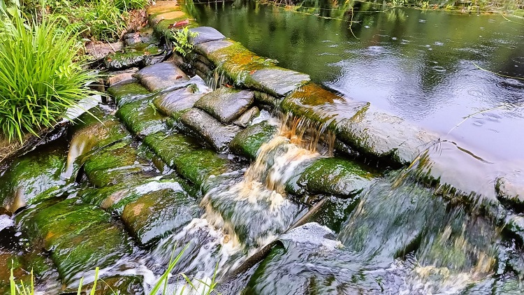 Dulu Kanal Jadi Sarana Mengulir  Kayu  Oleh Pembalak Liar, Kini  Ditata untuk Mencegah Kekeringan Gambut