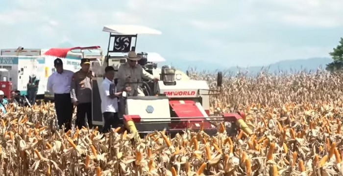 Prabowo Panen Raya Jagung Pipil Bersama Seluruh Kapolda