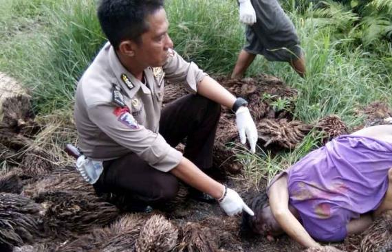 KEJAM... Ibu Hamil Helena Idawati Tewas Dibunuh di Kebun Sawit, Celana Melorot, Mulut Keluar Darah