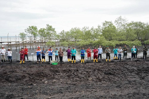 Pemko Dumai Tanam 2000 Pohon Mangrove Di Wilayah Pesisir Kota Dumai