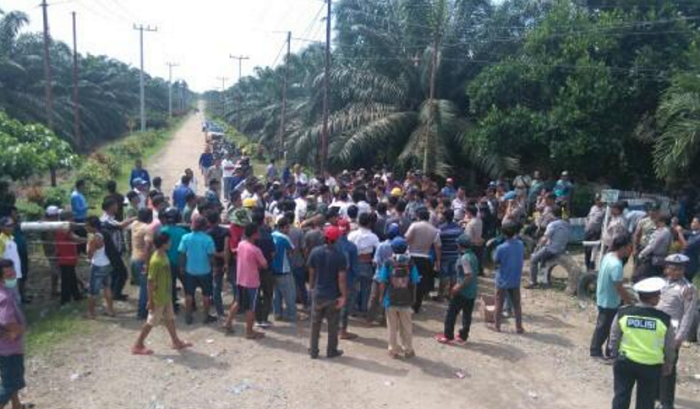 Dibayar Murah, Buruh Bongkar Muat Tudin PTPN V Tandun Jalankan Praktek Perbudakan