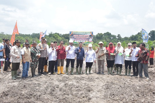 Peduli Swasembada Pangan, Bupati Kasmarni Tanam Perdana Kelapa Sawit Program PSR di Desa Muara Dua