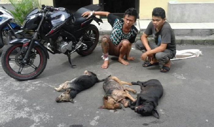 SINTING...Pria Ini Curi Anjing Warga dengan Cara Diracuni, Dagingnya Dibuat Sate
