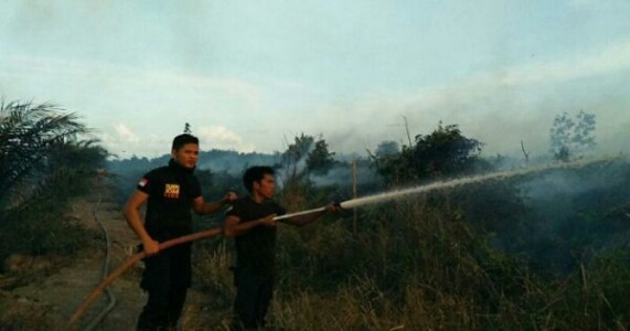 Karhutla di Kampung Tengah, Puluhan personel BPBD Siak Berjabaku Padamkan Kobaran Api