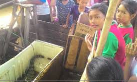 Beneran Aneh... Gak Doyan Daging, Buaya Ini Cuma Mau Makan Roti dan Susu