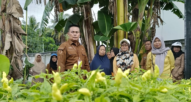 Harga Cabai Rawit Merah  Meroket Tembus Rp80.000 Per Kilogram