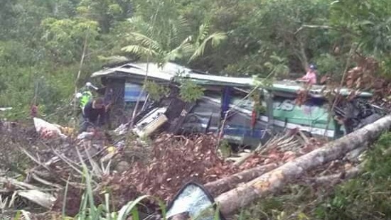 NGERI, Bus ALS Terjun ke Jurang di Jalinsum, Tiga Tewas, 25 Luka-luka, Sopirnya Melarikan Diri