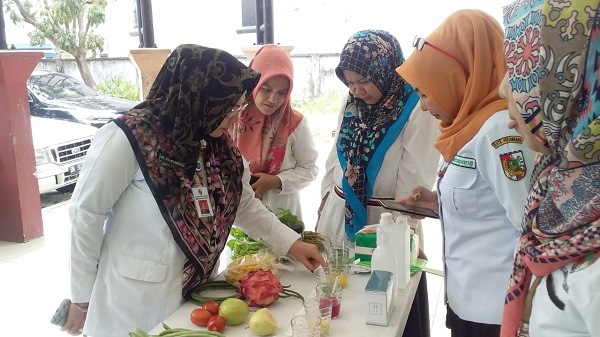 Disketapang Pekanbaru Edukasi Warga  dari Residu Timbal dan Pestisida pada Sayuran dan Buah di Pasar, Hasilnya ...