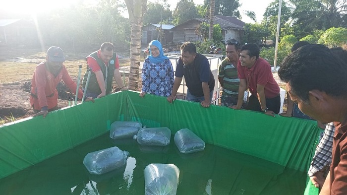 RAPP Bantuan Bibit Ikan Gabus Untuk Kampung penyengat