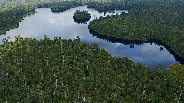 IUCN dan APRIL Group Perkuat Kolaborasi Ilmiah Dukung Konservasi Global