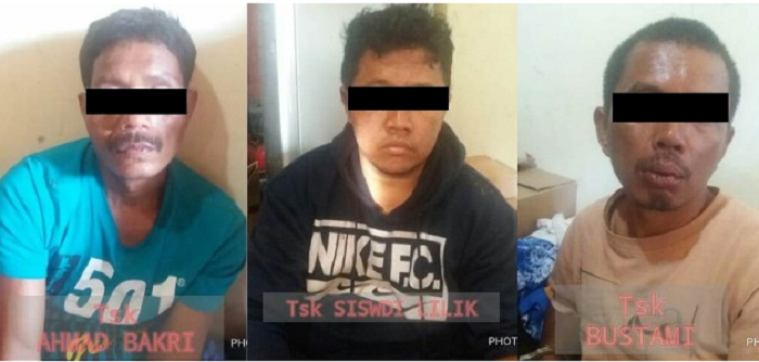 Bikin Malu, 3 Peter Asal Riau  Tertangkap Basah Curi Sapi di Limapuluh Kota