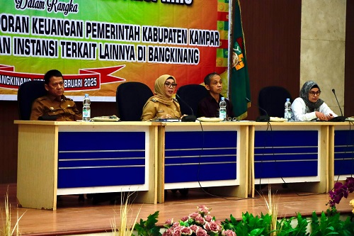 Wakil Bupati Kampar Sambut Tim Pemeriksa BPK Perwakilan Riau Pada Entry Meeting BPK - RI
